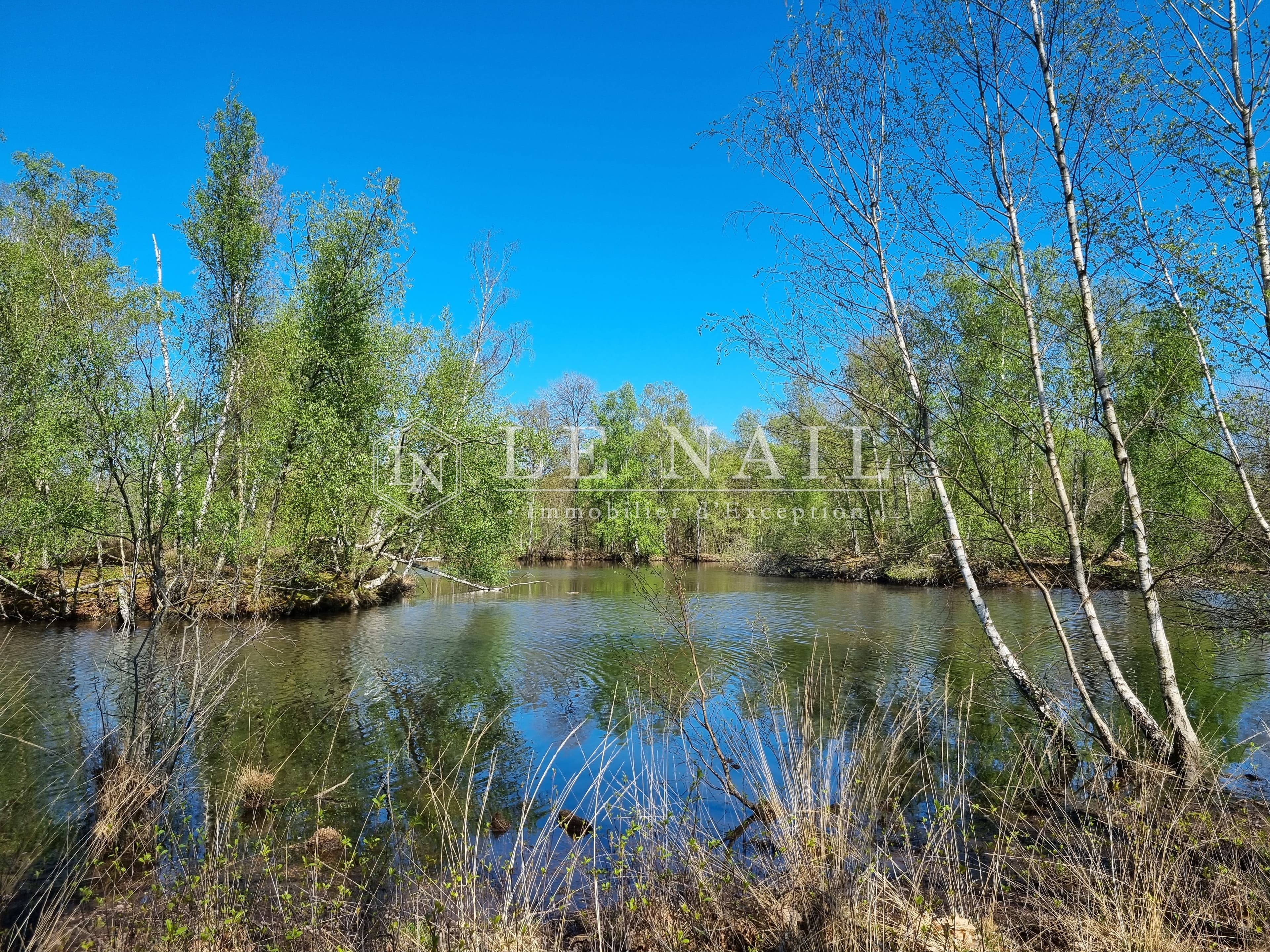 Propriété de 237 hectares en Sologne, avec de nombreux étangs, dédiée à la chasse et à l'agriculture - Image 4
