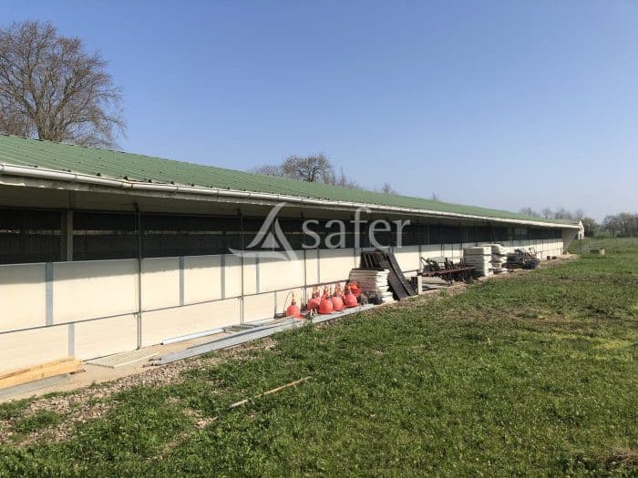 Deux poulaillers de 400 m² avec 4 ha de parcours attenants