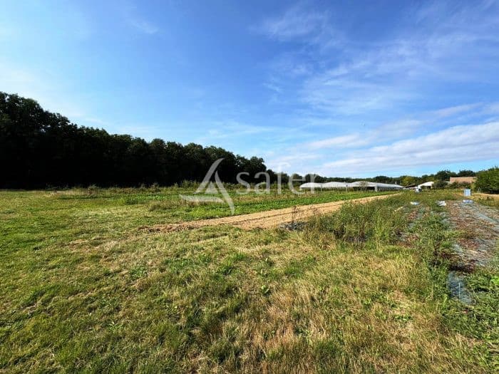 Exploitation maraîchère