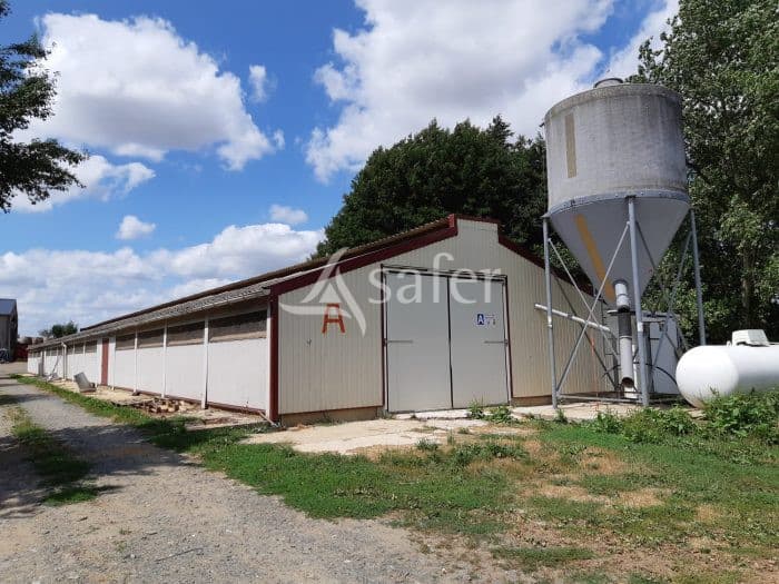 Exploitation Avicole Spécialisée volailles de chair 1600m2