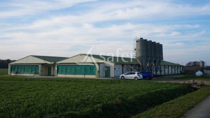 Nord Vendée- Batiments cunicoles récents