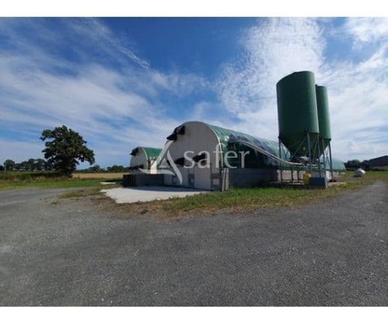 Exploitation cunicole