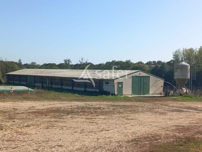 Exploitation Volaille AB sur 11ha