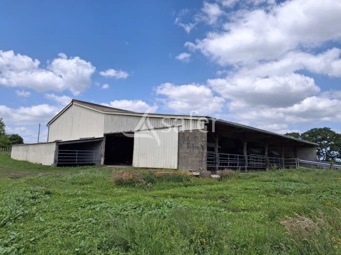 Ferme élevage 25 ha