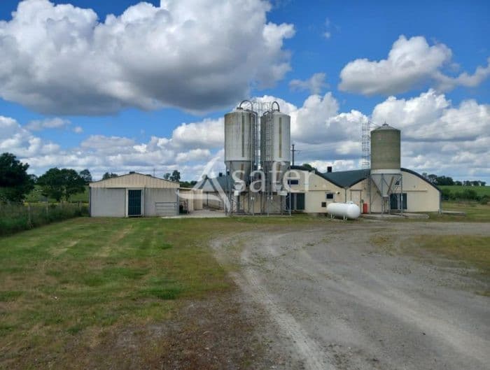 Exploitation en Veau de Boucherie et Volaille Label