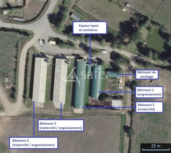 Exploitation Cunicole