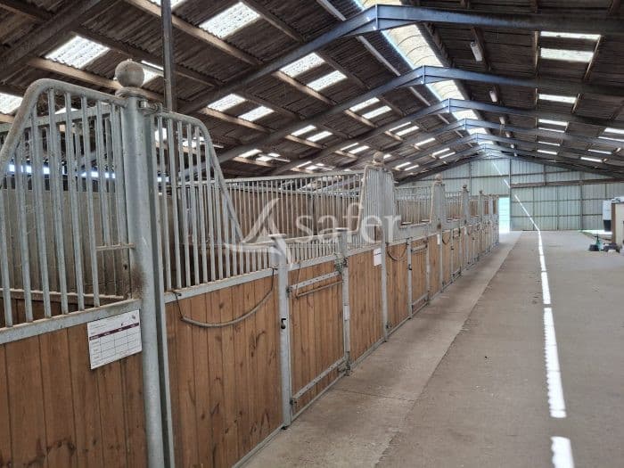 Structure d'élevage équin bien équipée à 15 min de la mer