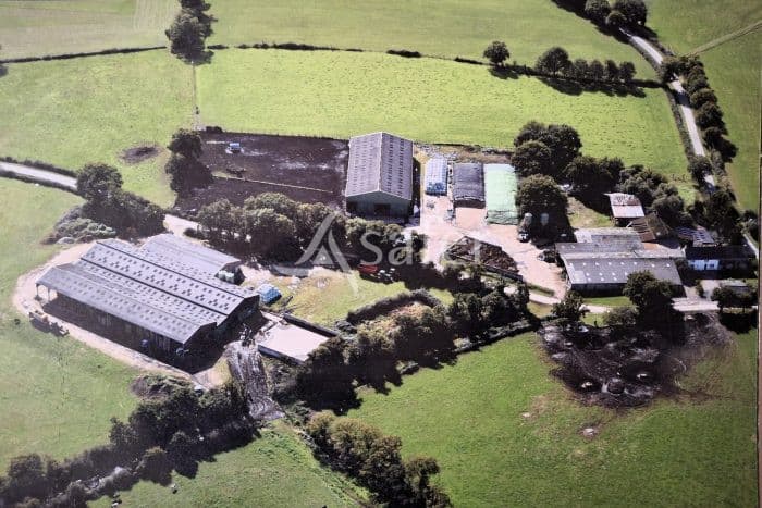 Exploitation laitière à transmettre