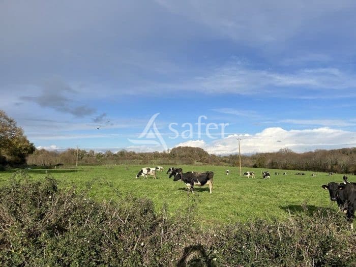 Ferme laitière 515 kL