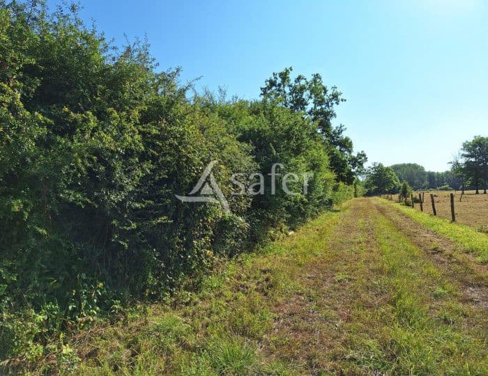 Vente d'une parcelle - Idéale chasse et pêche