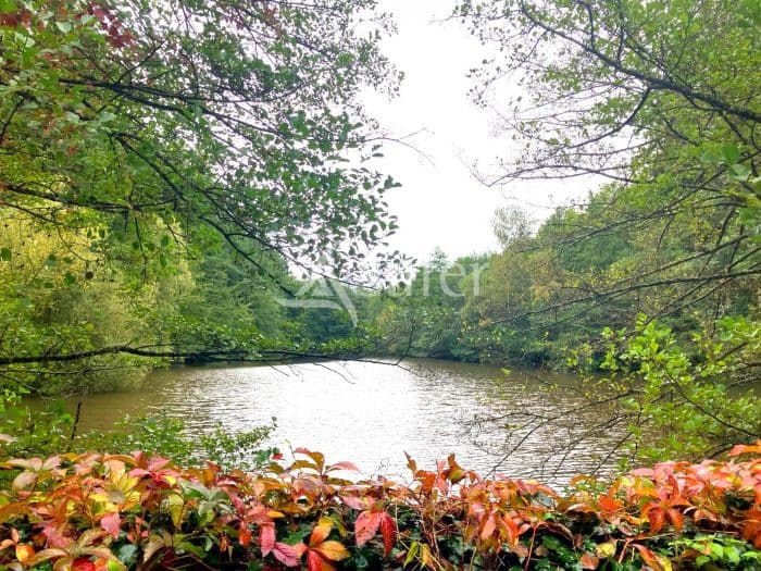 PROPRIETE FORESTIERE AVEC ETANG