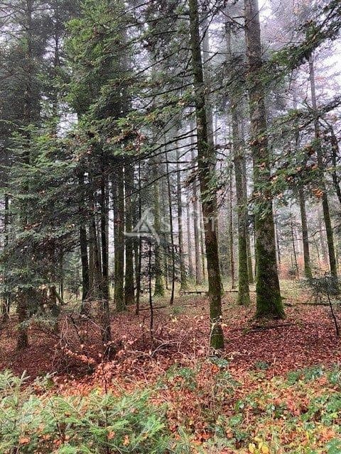 Ensemble de parcelles