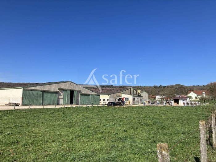 Exploitation laitière 170 ha