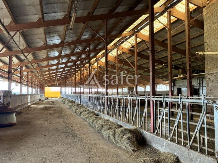 Ferme laitière en AOP comté