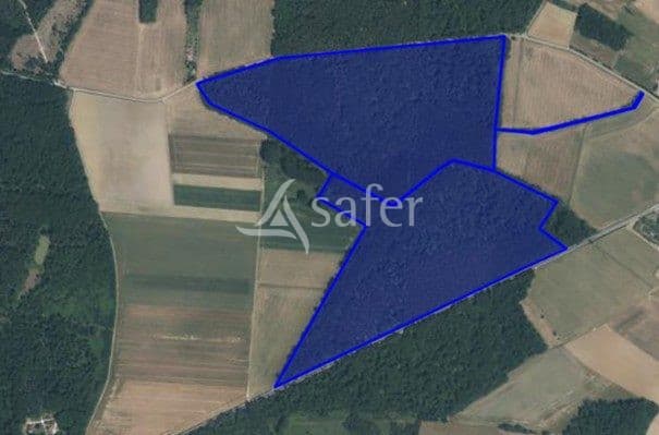 PROPRIETE FORESTIERE A PROXIMITE D'AUXERRE
