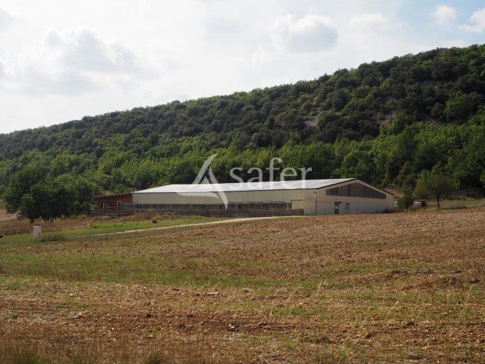 Transmission d’un élevage canin professionnel dans le pays de Banon