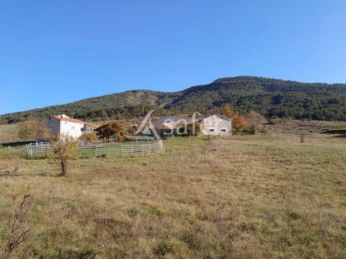 Exploitation d'élevage équin dans le Parc des Baronnies Provençales