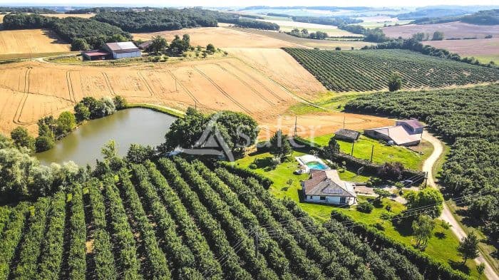 Exploitation agricole irriguée Noisettes/Céréales 91 ha en coteaux, Tarn-et-Garonne