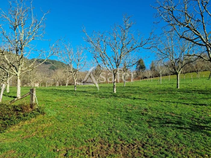 Propriété de 15 ha avec noyeraie AOP en bio dans le Lot