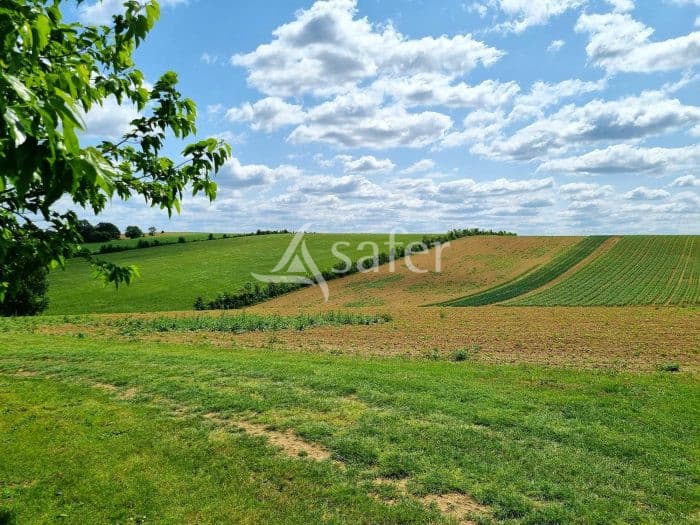 Exploitation Polyculture-Elevage Bio de 44 ha irrigables aux portes du Gers