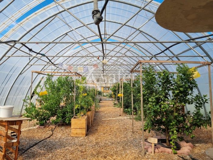 Propriété agricole sur plus de 3 ha avec plusieurs logements