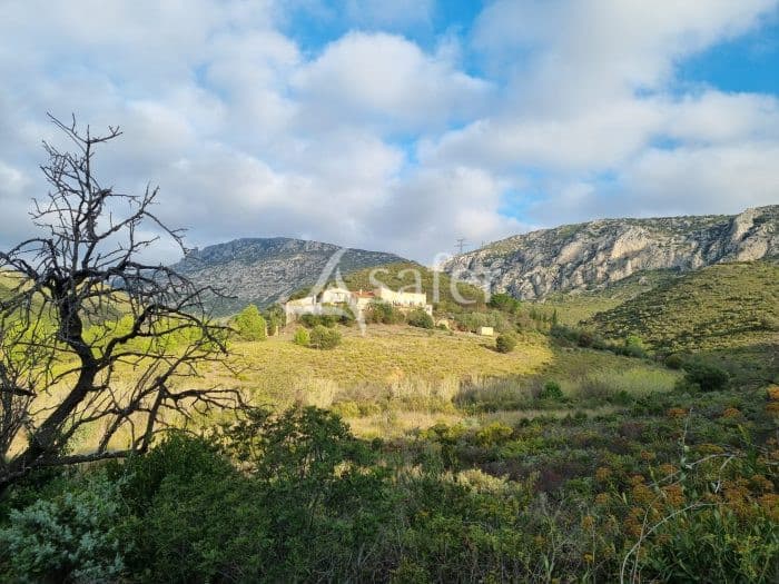 Mas composé de 4 logements entouré de vignes et de garrigue