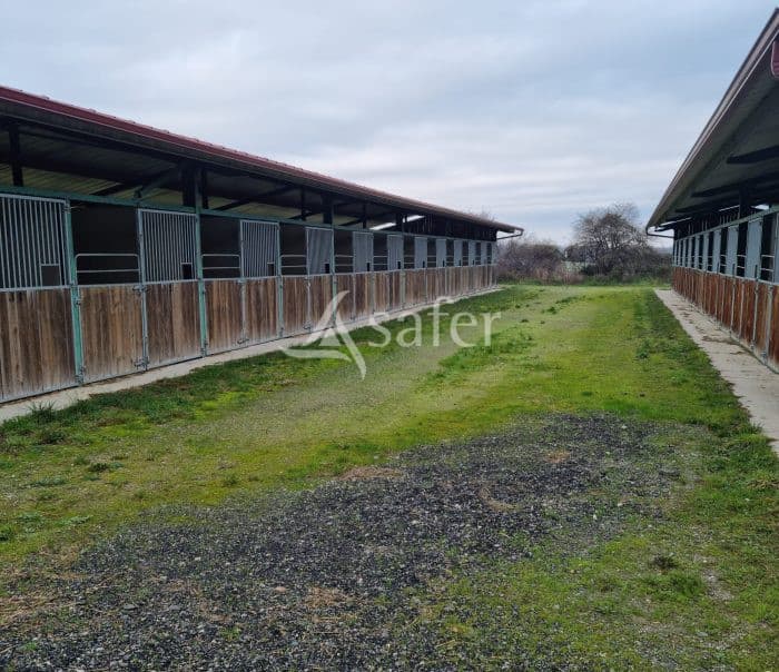 Bâtiments agricoles avec 192 boxes pour chevaux sur 1 ha - Proche Toulouse