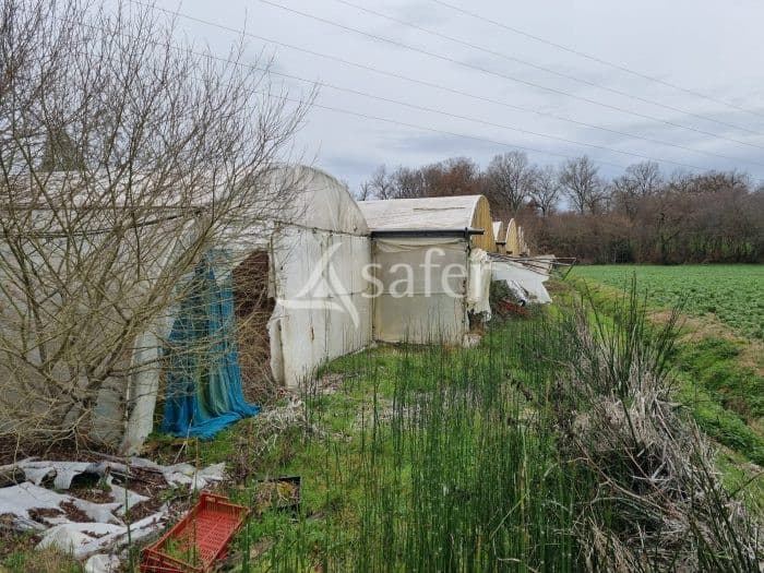 Propriété maraîchère avec serres et hangar sur 7 000 m² agricoles - Proche Toulouse
