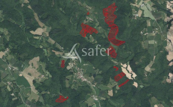 Domaine boisée de 37 ha Sud-Est Lot