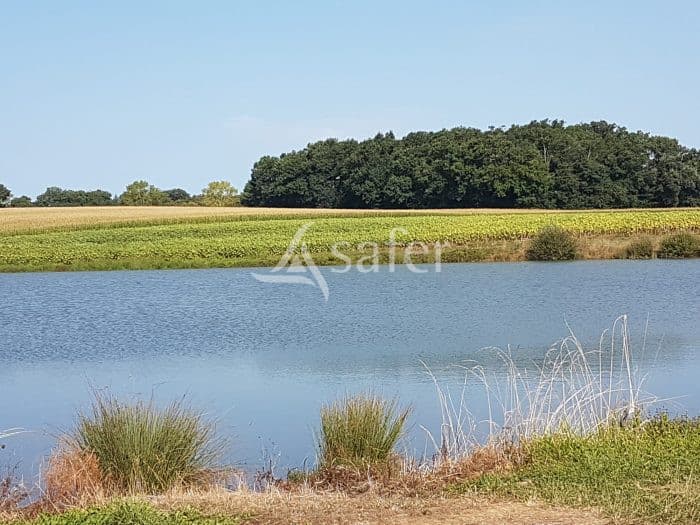Proche des Pyrénées - Propriété de 86 ha avec lac d'irrigation