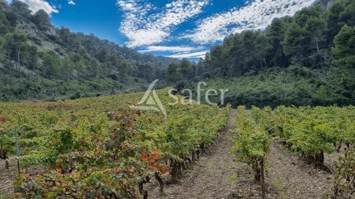 Propriété viticole de 62 Ha en AOP LA CLAPE et IGP OC