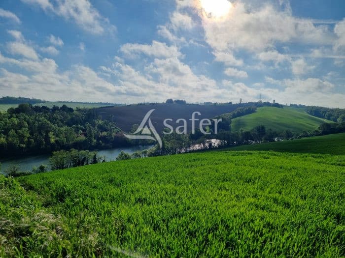 Exploitation agricole sur 300 ha avec maison et infrastructures- Proche Toulouse