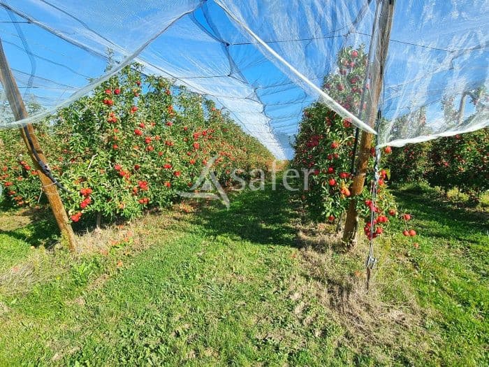 Exploitation fruitière de 40 ha dans les Coteaux du Bas Quercy secteur moissagais