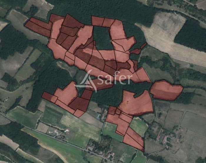 Proche l'Isle en Dodon - Propriété de 33 ha