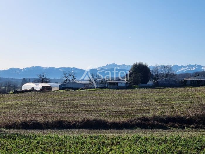 Elevage porcin naisseur-engraisseur en activité