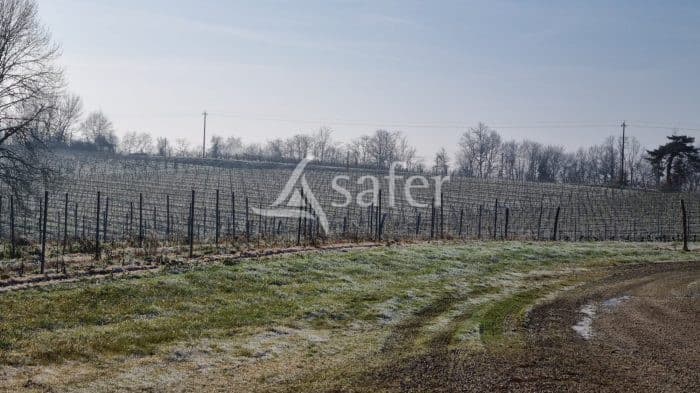 Proche Eauze - Propriété viticole de 28 ha