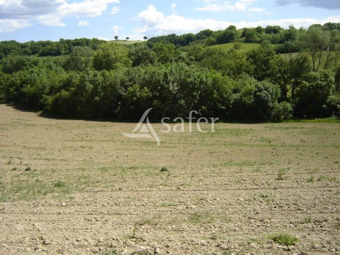 31ha de foncier Lautrec