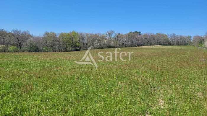 Terres et bois 14ha Puycelsi