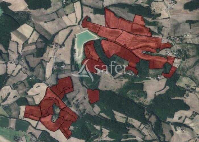 Proche Marciac propriété forestière de 105 ha