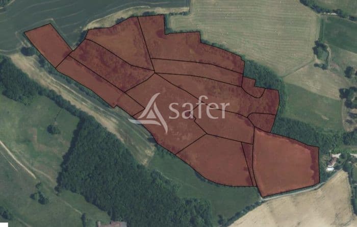 Tournan - Propriété de 15ha