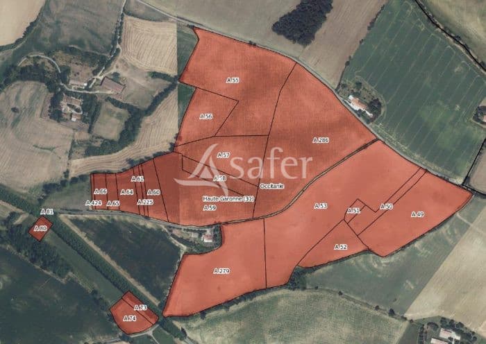 30 hectares de foncier agricole en Agriculture Biologique - Proche Toulouse