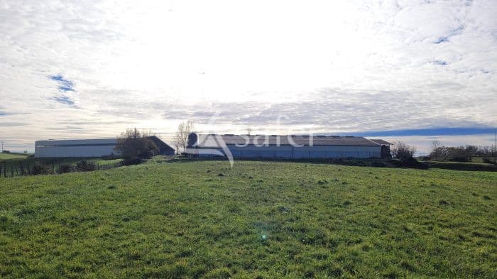 Exploitation agricole Albi 50ha