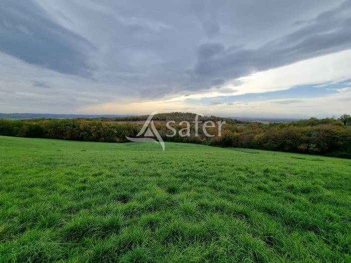 Stabulation et 20ha proche de Rabastens-de-Bigorre