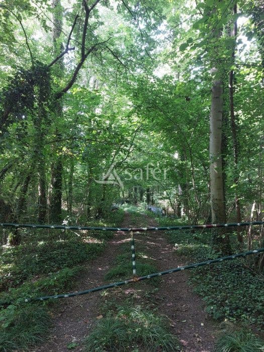 Vente Bois de la vallée de la Suippe