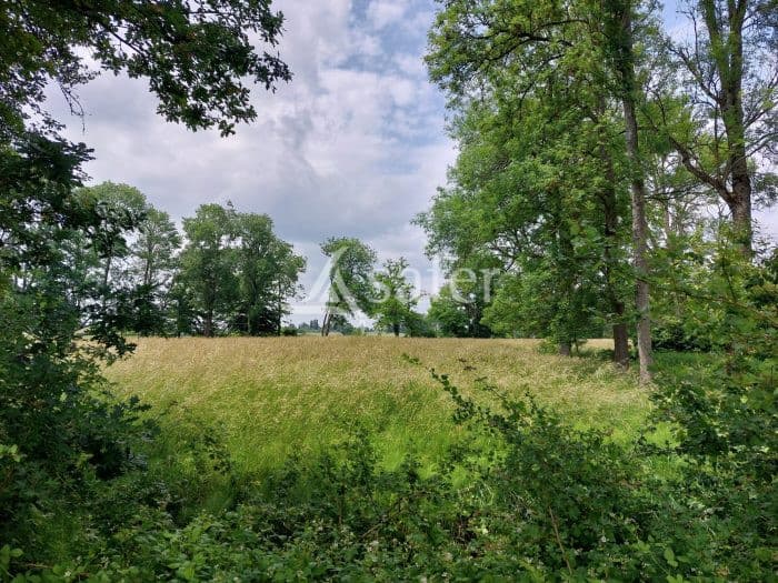 Ancien élevage caprin - Maison + Bâtiments d'élevage - 9,55 ha