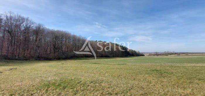 VENTE BOIS DU HOUZARD