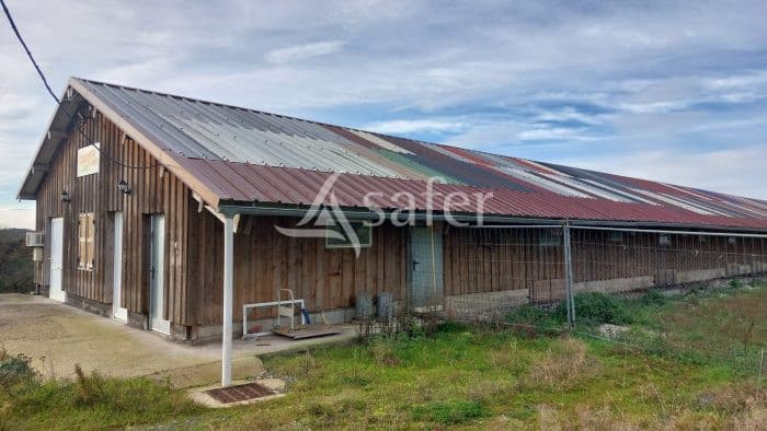 Bâtiment agricole récent à Celles-en-Bassigny avec 2,50 ha de prairie permanente - Idéal projet d’installation