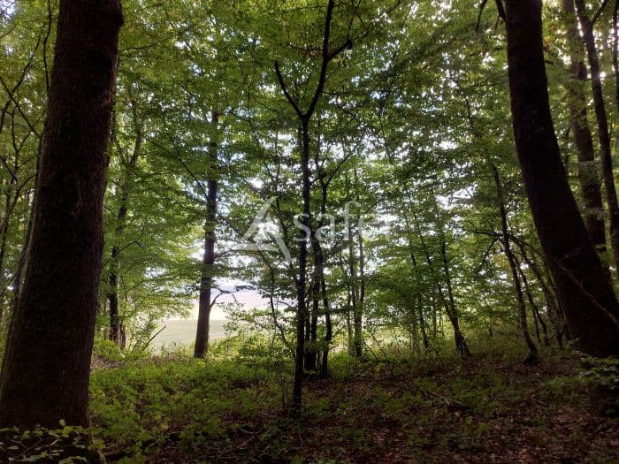 Chênaie - Marne 51