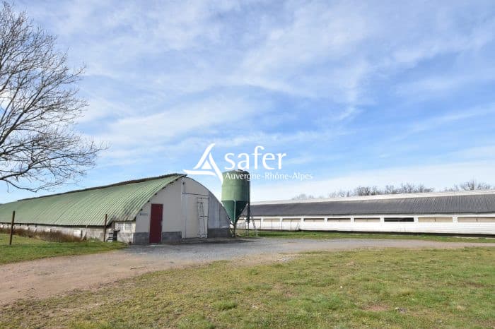 Propriété d'élevage avicole - Secteur Lapalisse