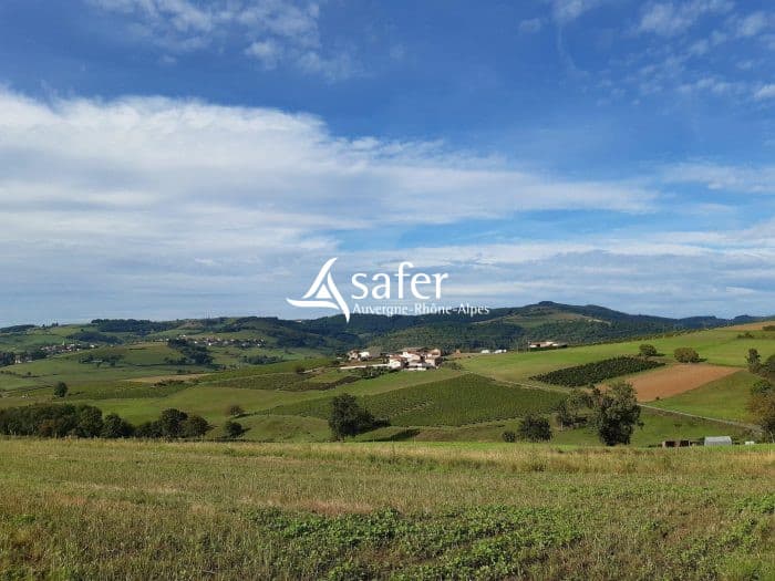 EXPLOITATION VITICOLE BEAUJOLAISE ET ELEVAGE